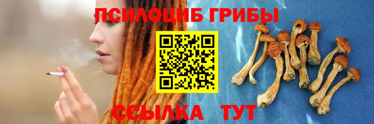 Псилоцибиновые грибы Cubensis  Вход с VPN  Тверь 